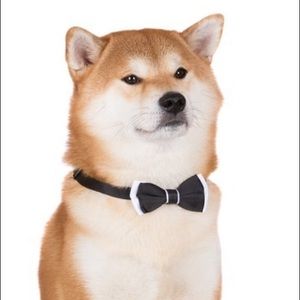 Meet your Posher, Keith